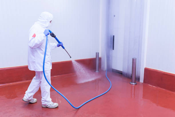 Best Gutter Cleaning and Brightening in Reedsville, WI