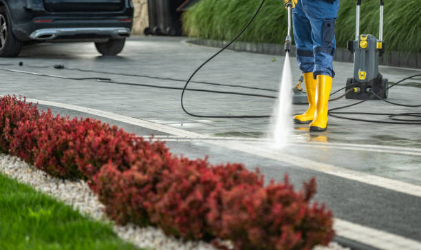 Best Sidewalk and Walkway Pressure Cleaning in Reedsville, WI